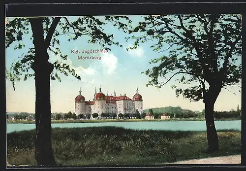 AK Moritzburg, Flusspartie mit Kgl. Jagdschloss