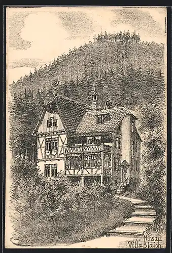 Künstler-AK Hirsau, Hotel Villa Blaich im Grünen