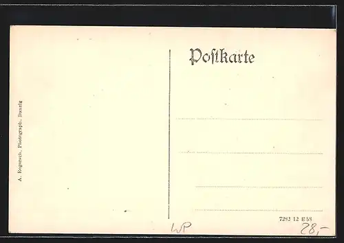 AK Damerau, Strassenpartie mit Gutshaus und Mühle, Kfm. Lorenz