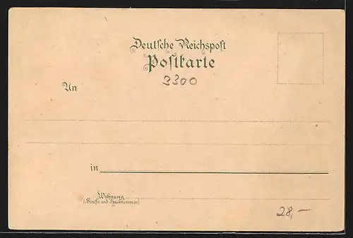 Lithographie Braunschweig, Polytechnikum, Dom, Löwendenkmal, Lessingdenkmal