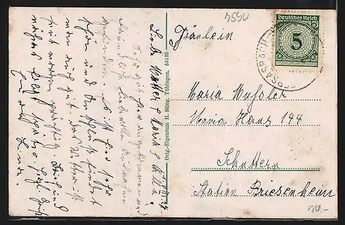 AK Achern /Baden, Marienheim-Erlenbad