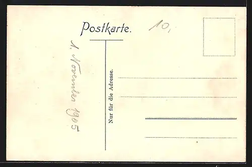 AK Reichenau / Mittelzell, Panorama mit Ortspartie