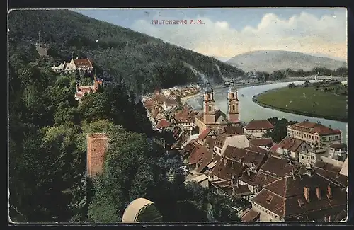 AK Miltenberg a. M., Ortsansicht mit Fluss und Bergen