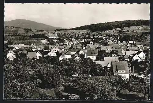 AK Auggen /Baden, Ortsansicht mit Häusern