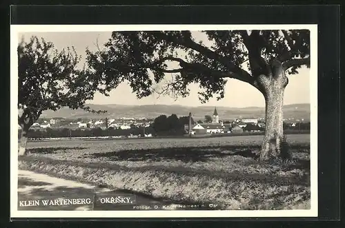 AK Klein Wartenberg, Panorama