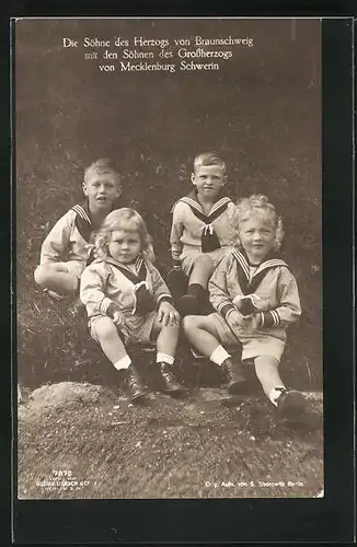AK Die Söhne des Herzogs von Braunschweig mit den Söhnen des Herzogs von Mecklenburg-Schwerin