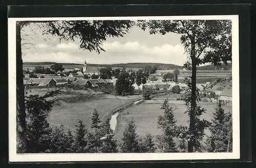 AK Druzec, Panorama