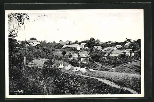 AK Losiny, Teilansicht vom Dorf, grasende Gänse