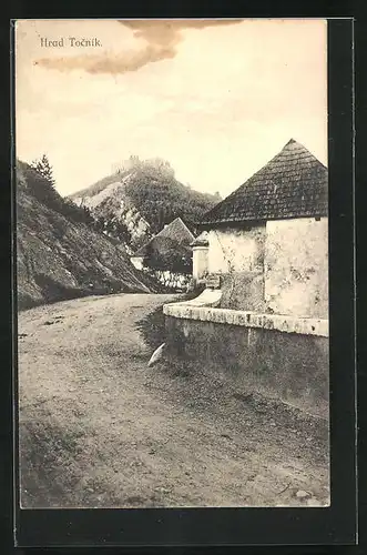 AK Tocnik, Strassenpartie mit Blick zur Burg Tocnik