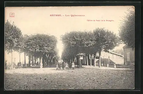 AK Seurre, Les Quinconces