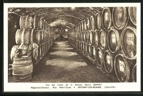 AK Savigny-les-Beaune, Une des Caves de la Maison Henry Duprey