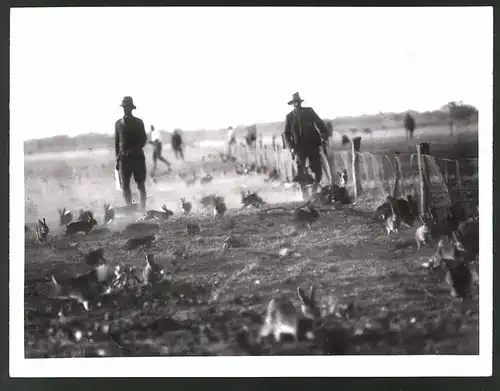 Fotografie Ansicht Australien, Farmer auf Kaninchenjagd