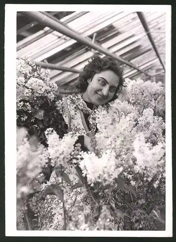 Fotografie Gärtnerin mit Flieder in Treibhaus