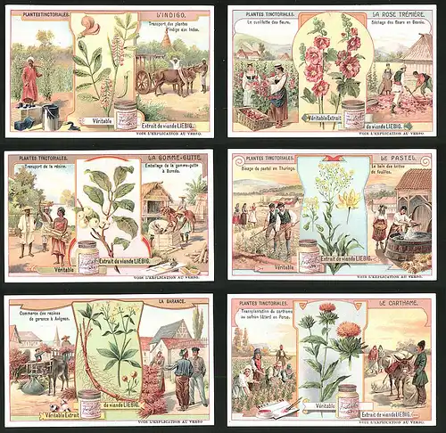6 Sammelbilder Liebig, Serie Nr.: 969, Plantes Tinctoriales, Farbpalette, Nutzpflanzen