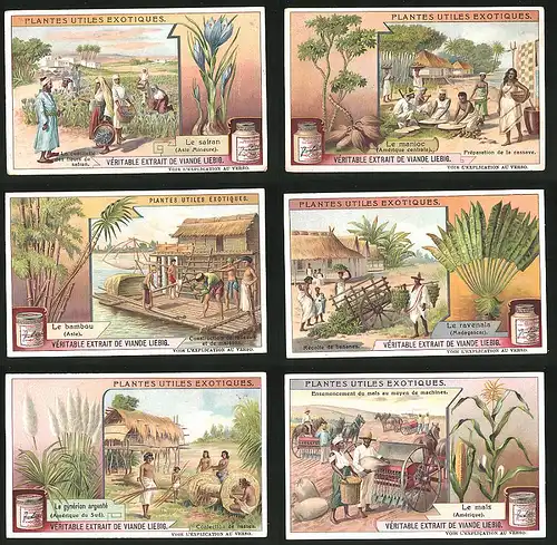 6 Sammelbilder Liebig, Serie Nr.: 970, Plantes Utiles Exotiques, Le mais, Mähdrescher, Landwirtschaft