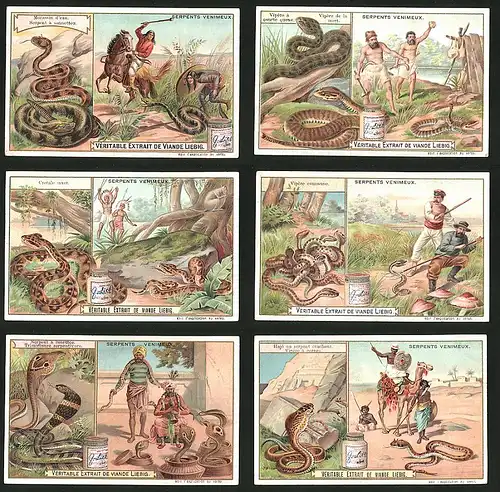 6 Sammelbilder Liebig, Serie Nr.: 748, Serpents Venimeux, Viper, Klapperschlange, Schlangenbeschwörer, Indianer