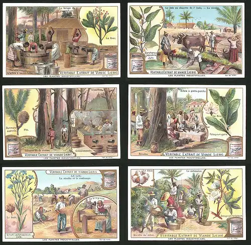 6 Sammelbilder Liebig, Serie Nr.: 707, Les Plantes Industrielles, Baumwolle, Harz