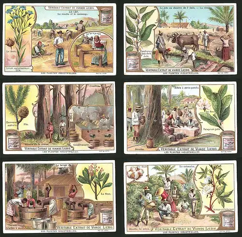 6 Sammelbilder Liebig, Serie Nr.: 707, Les Plantes Industrielles, Baumwolle, Kautschuk, Harzgewinnung