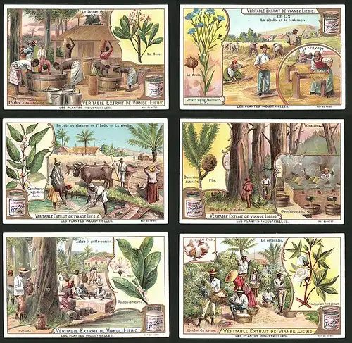 6 Sammelbilder Liebig, Serie Nr.: 707, Les Plantes Industrielles, Plantagen mit Baumwolle, Kautschuk, Gummigewinnung