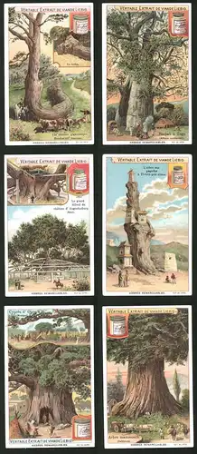 6 Sammelbilder Liebig, Serie Nr.: 690, Arbres Remarquables, Arbre Mammouth, Zypressen, Baobab Baum