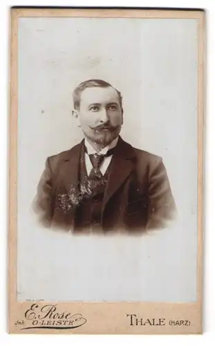 Fotografie E. Rose, Thale / Harz, Portrait junger Herr im Anzug mit Krawatte und Bart