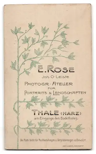 Fotografie E. Rose, Thale / Harz, Portrait junger Herr im Anzug mit Krawatte und Bart