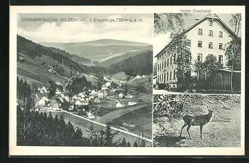 AK Wildenthal /Erzgebirge, Hotel Drechsler, Gesamtansicht, Hirsch
