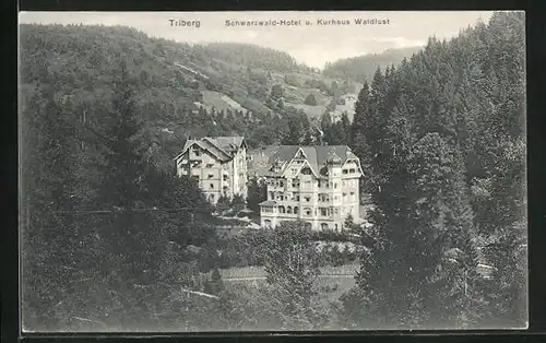 AK Triberg, Schwarzwald-Hotel und Kurhaus Waldlust