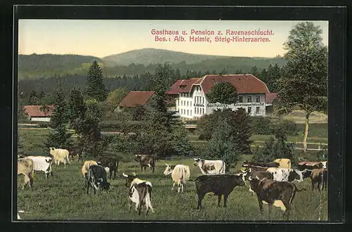 AK Steig-Hinterzarten, Gasthaus und Pension zur Ravenaschlucht