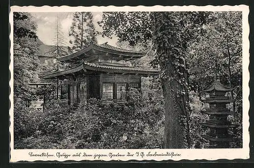 AK Leverkusen, Partie aus dem japanischen Garten der I. G. Farbenindustrie