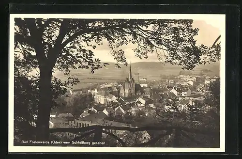 AK Bad Freienwalde / Oder, Teilansicht vom Schlossberg gesehen