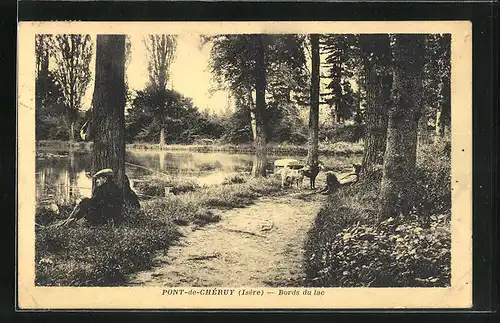 AK Pont-de-Chéruy, Bords du lac