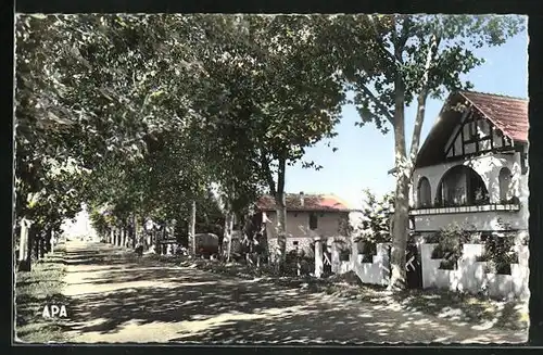 AK Fleurance, Avenue des Pyrénées
