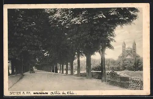 AK Speyer a. Rh., Allée au Rhein, Rheinallee mit Kirche