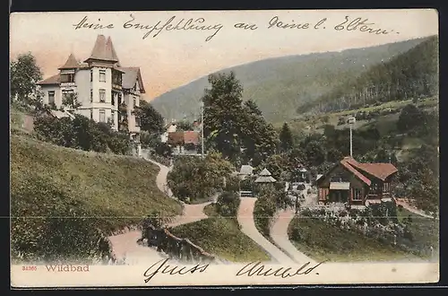 AK Wildbad, Ortsansicht