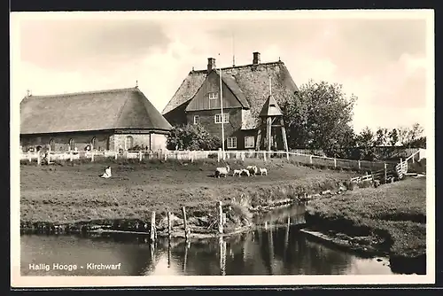 AK Hallig Hooge, An der Kirchwarf