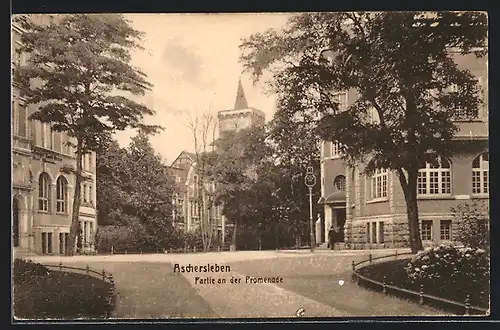 AK Aschersleben, Partie an der Promenade