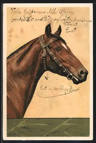Künstler-AK Alfred Mailick: Pferd mit Halfter