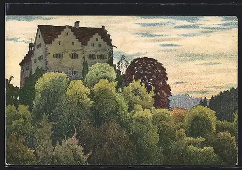 Künstler-AK Ernst E. Schlatter: Ermatingen, Schloss Salenstein, Totale