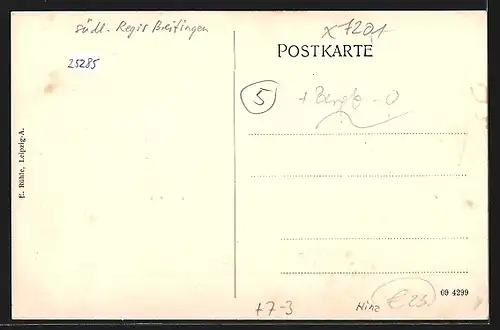 AK Neukirchen /Wyhra, Ziegelwerk, Kohlenwerk, Ortspanorama