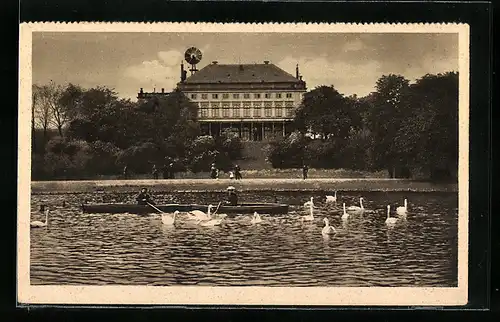 AK Zwickau in Sa., das Schwanenschloss