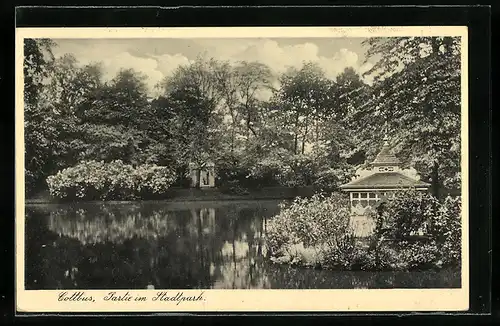 AK Cottbus, Partie im Stadtpark