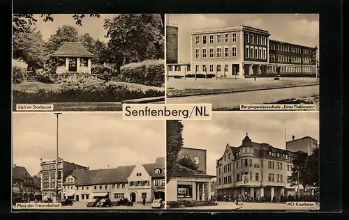 AK Senftenberg, Idyll im Stadtpark, Platz der Freundschaft, Bergingenieurschule Ernst thälmann