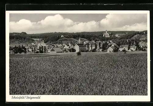 AK Scheinfeld, Ortsansicht