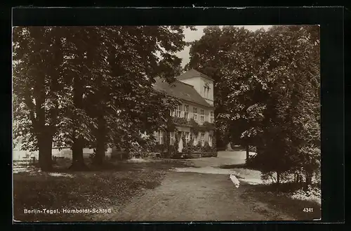 AK Berlin-Tegel, Blick zum Humboldt-Schloss