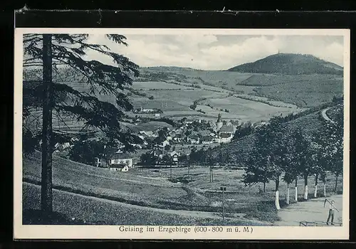 AK Geising im Erzgebirge, Gesamtansicht
