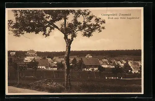 AK Georgenfeld-Zinnwald, Blick zum Hotel Lugsteinhof