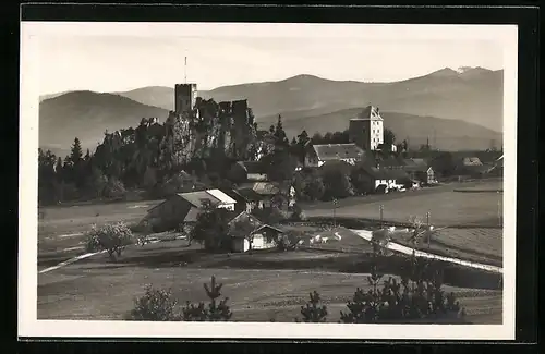 AK Regen im bayr. Wald, Ortschaft mit Ruine Weissenstein