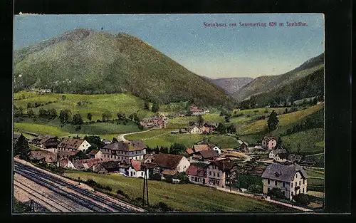 AK Steinhaus a. Semmering, Blick über den Ort