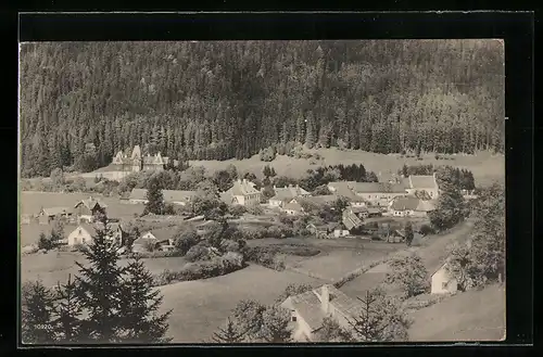 AK Mürzsteg, Totalansicht vom Brunntalgraben